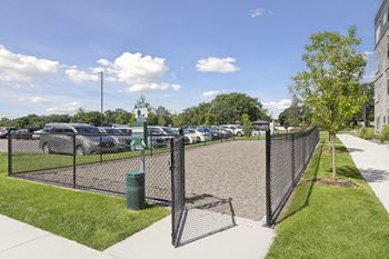 Dog run